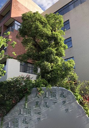 高职招生