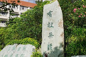 金鹰体育手机版下载手机版登录开放大学