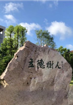 金鹰体育手机版下载手机版登录